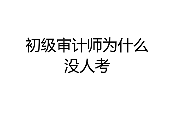 初级审计师为什么没人考