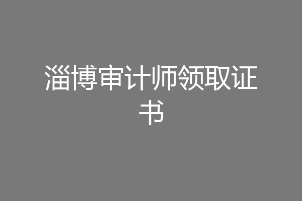 淄博审计师领取证书