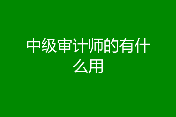 中级审计师的有什么用