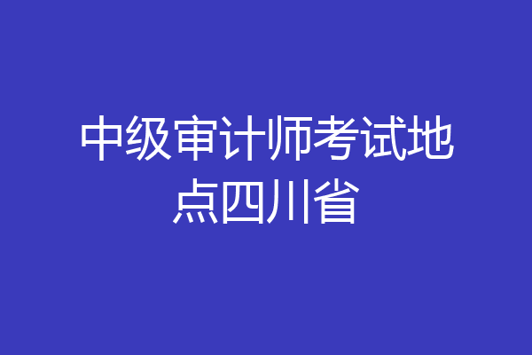 中级审计师考试地点四川省