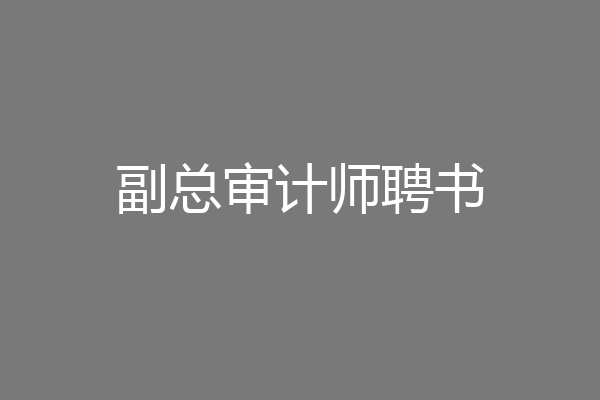副总审计师聘书
