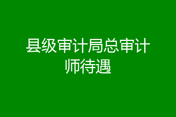 县级审计局总审计师待遇