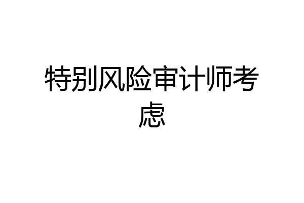特别风险审计师考虑
