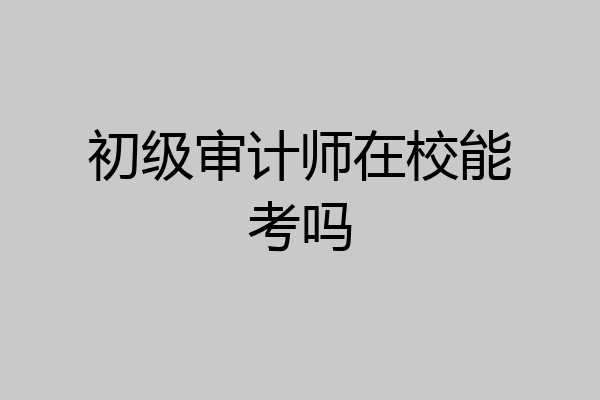 初级审计师在校能考吗