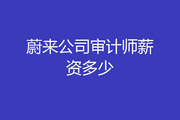 蔚来公司审计师薪资多少