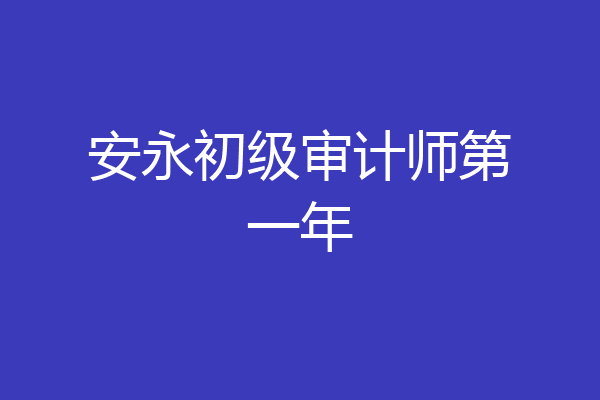 安永初级审计师第一年