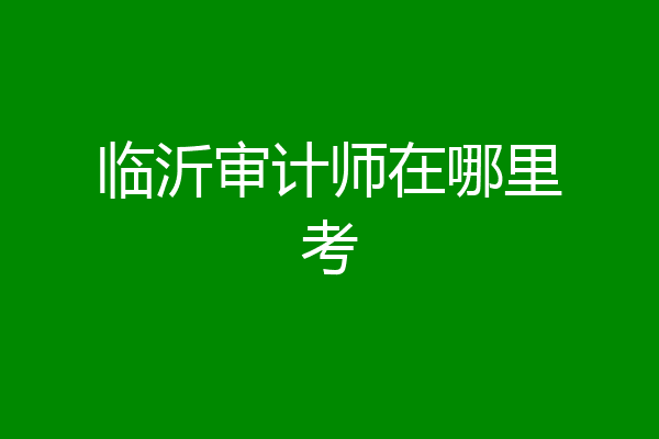 临沂审计师在哪里考