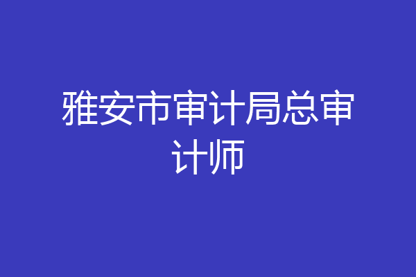 雅安市审计局总审计师