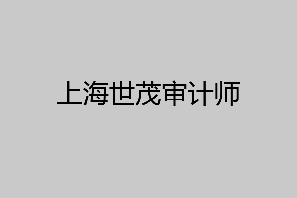 上海世茂审计师