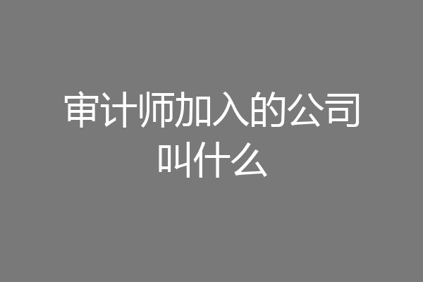 审计师加入的公司叫什么