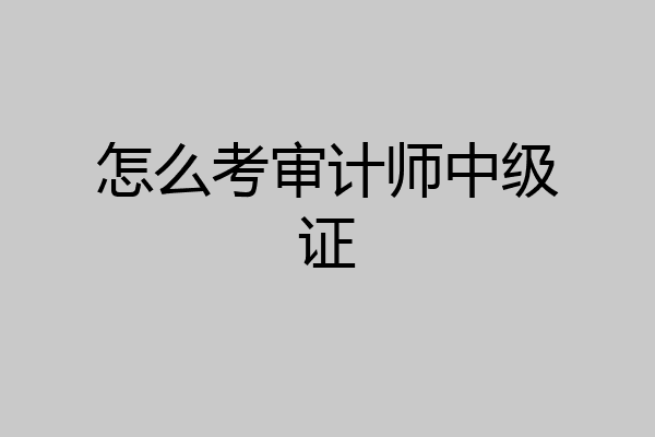 怎么考审计师中级证
