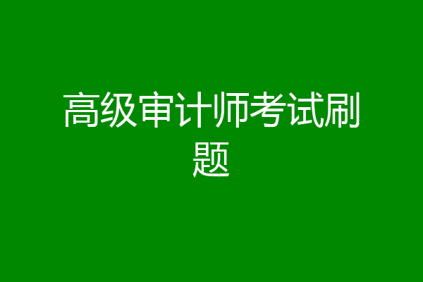 高级审计师考试刷题