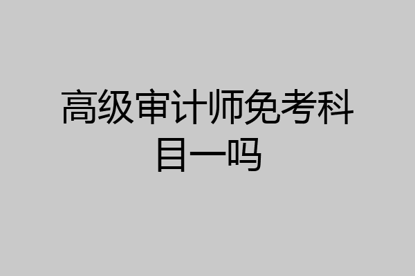 高级审计师免考科目一吗