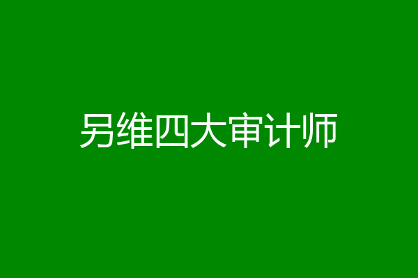 另维四大审计师