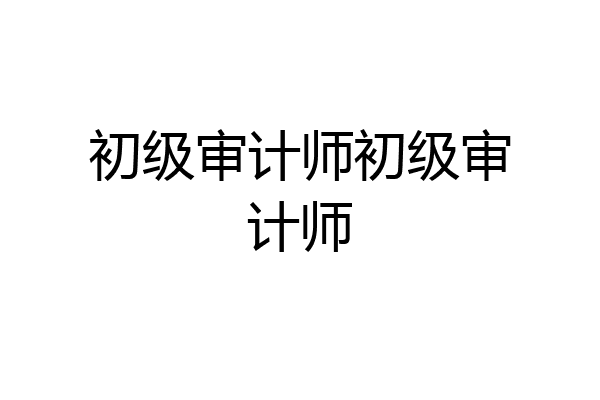 初级审计师初级审计师