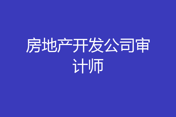 房地产开发公司审计师