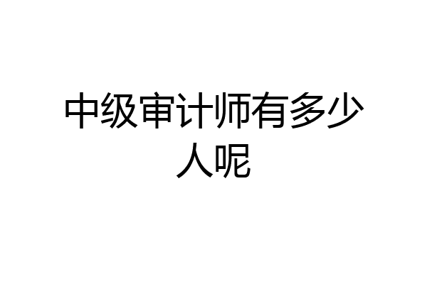 中级审计师有多少人呢