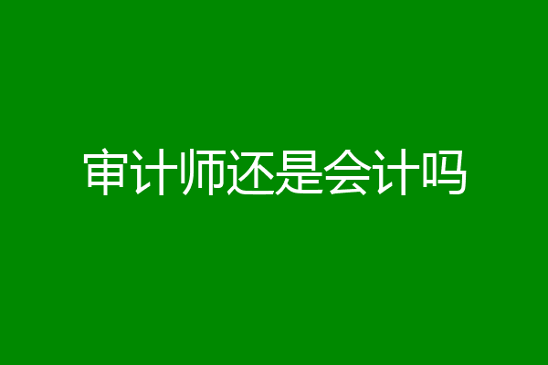 审计师还是会计吗