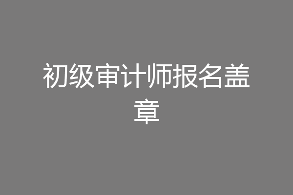 初级审计师报名盖章