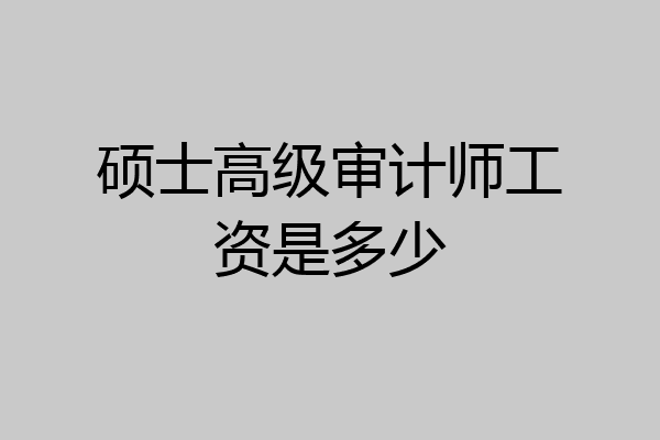 硕士高级审计师工资是多少