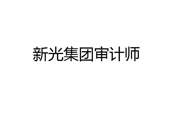 新光集团审计师