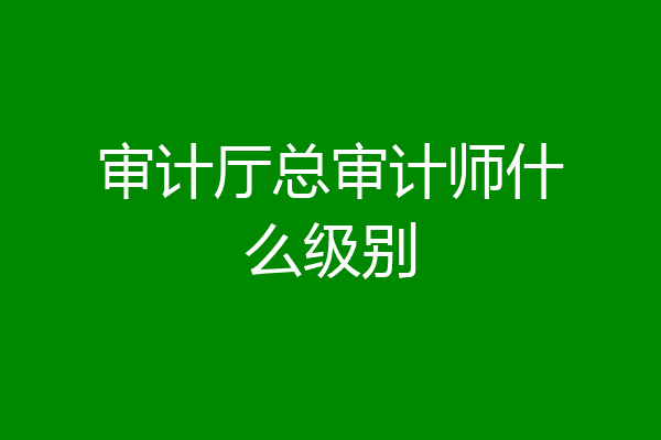 审计厅总审计师什么级别