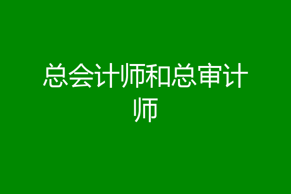 总会计师和总审计师