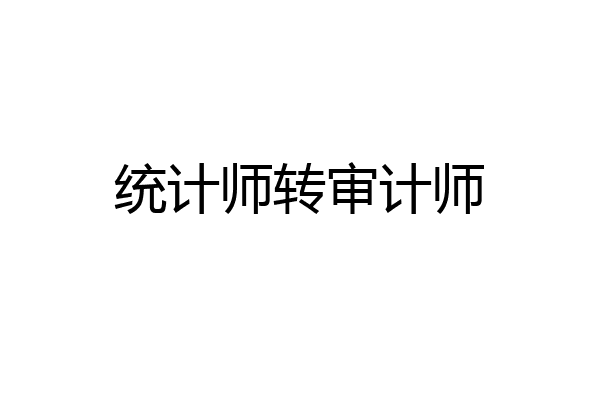 统计师转审计师