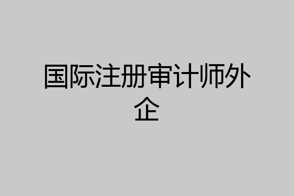 国际注册审计师外企