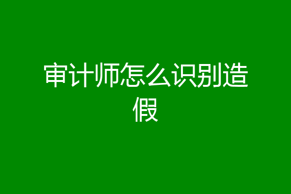 审计师怎么识别造假