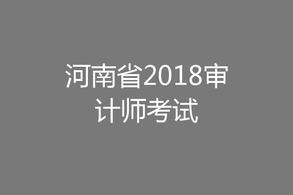 河南省2018审计师考试
