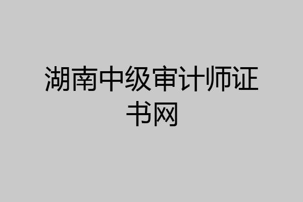 湖南中级审计师证书网