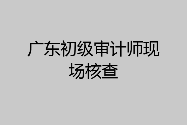 广东初级审计师现场核查