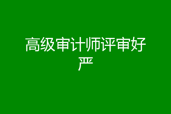 高级审计师评审好严