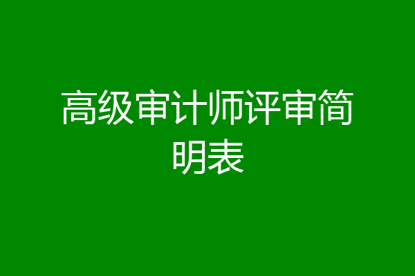 高级审计师评审简明表