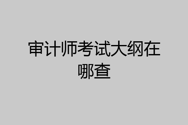 审计师考试大纲在哪查