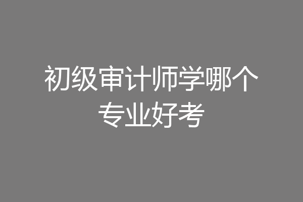 初级审计师学哪个专业好考