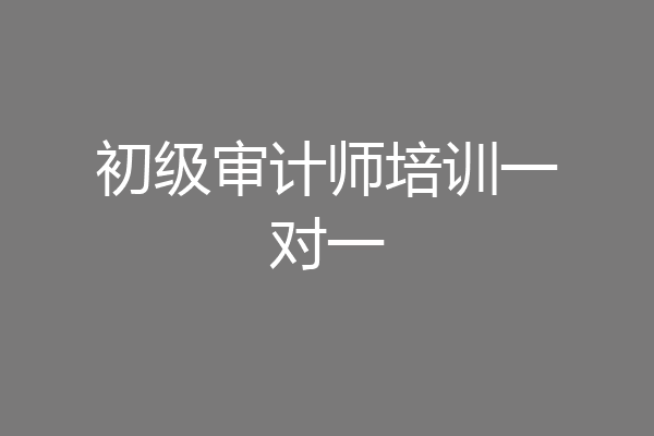初级审计师培训一对一