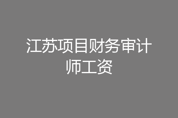 江苏项目财务审计师工资