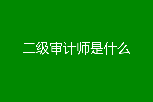 二级审计师是什么