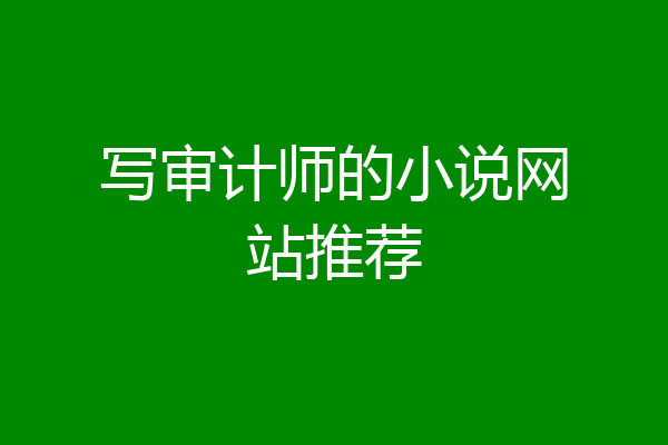 写审计师的小说网站推荐