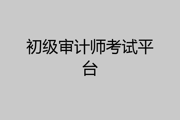 初级审计师考试平台