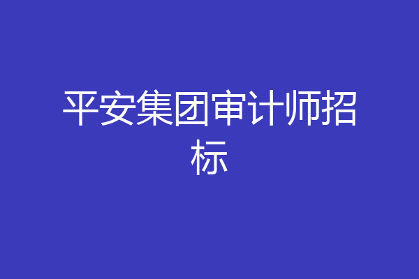 平安集团审计师招标