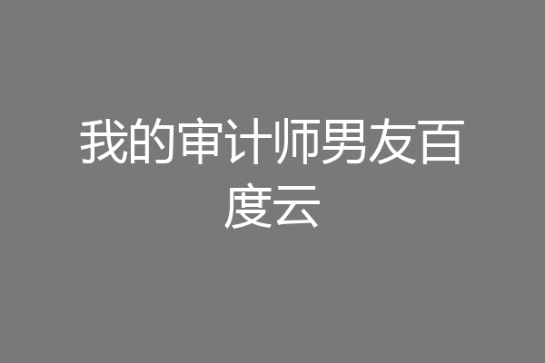我的审计师男友百度云