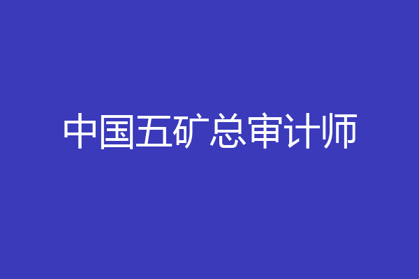 中国五矿总审计师