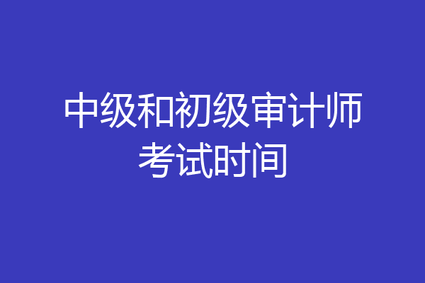 中级和初级审计师考试时间