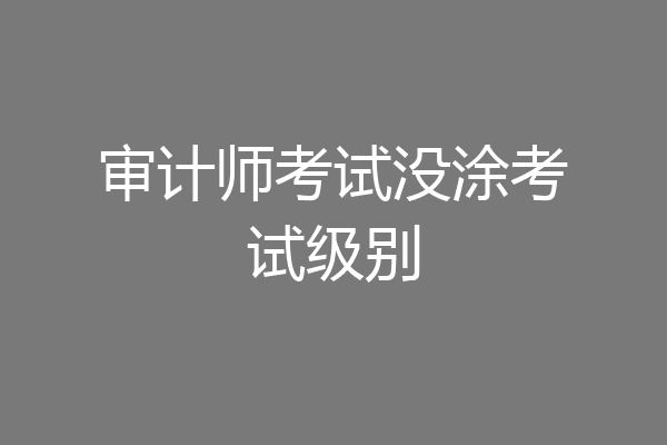 审计师考试没涂考试级别