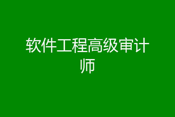 软件工程高级审计师