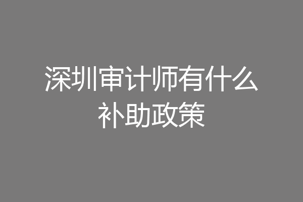 深圳审计师有什么补助政策