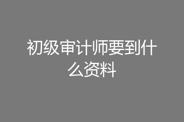 初级审计师要到什么资料